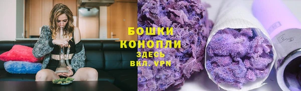 прущий лед Инта