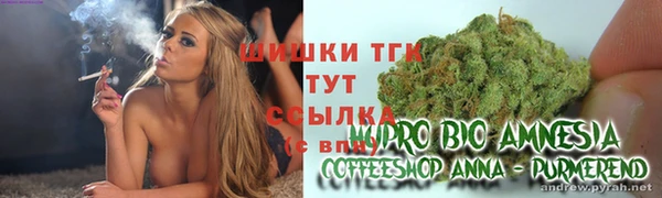 прущий лед Инта