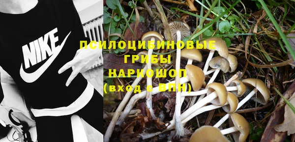 прущий лед Инта