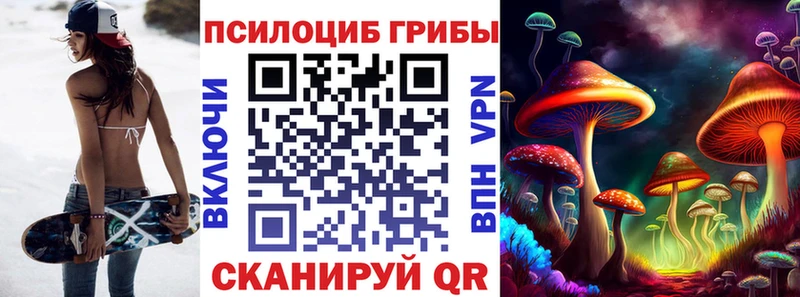 Галлюциногенные грибы Psilocybe Купить Нея
